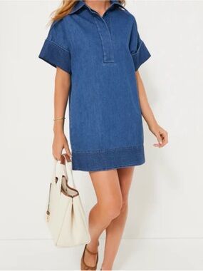 Tuckernuck Denim Polo Dress in Blue